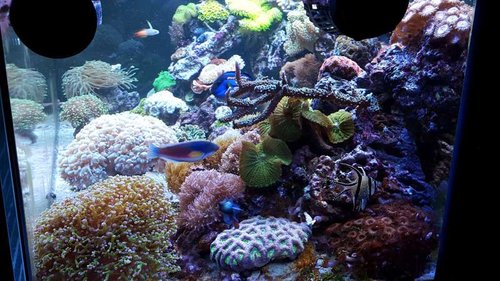 20160312_183118.jpg