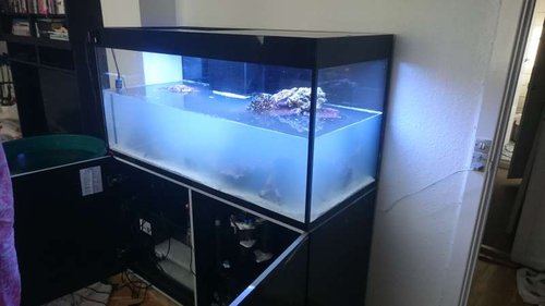 Akvariet fyldes med gammelt vand samt 200 l nyt vand. 50-50