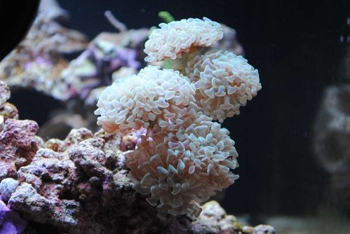 5.JPG (43.78 KiB) Vist 6100 gange 5