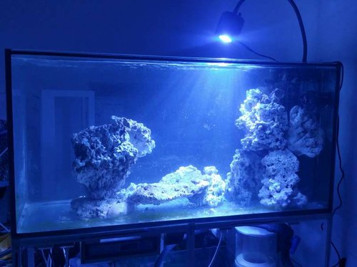 20160318_210433_resized.jpg