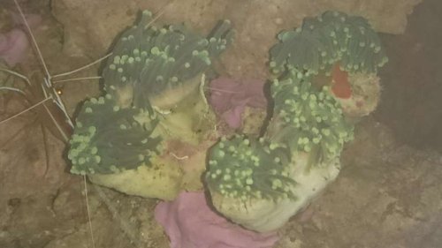 A.JPG (26.2 KiB) Vist 5916 gange A