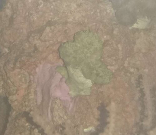 C.JPG (23.76 KiB) Vist 5916 gange C