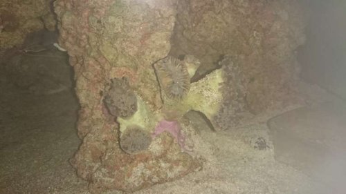 D.JPG (29.21 KiB) Vist 5916 gange D