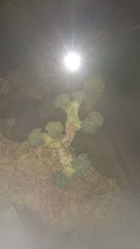 E.JPG (9.87 KiB) Vist 5916 gange E