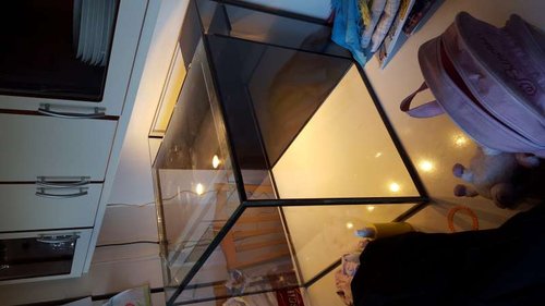 20160323_174221.jpg
