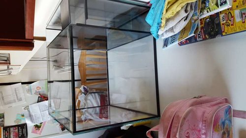 20160323_174142.jpg