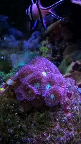 WP_20160328_17_26_23_Pro.jpg