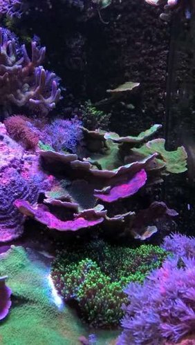 WP_20160328_17_26_33_Pro.jpg