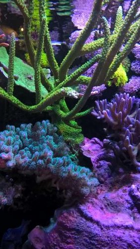 WP_20160328_17_26_39_Pro.jpg