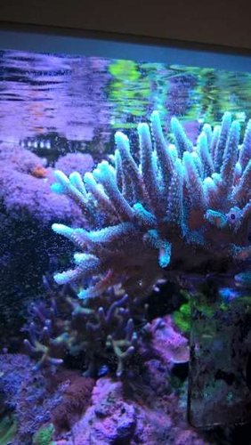 WP_20160328_17_27_00_Pro.jpg