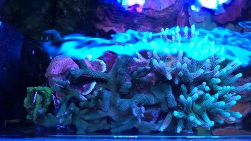 WP_20160328_17_27_12_Pro.jpg