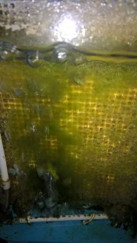 WP_20160329_12_31_54_Pro.jpg