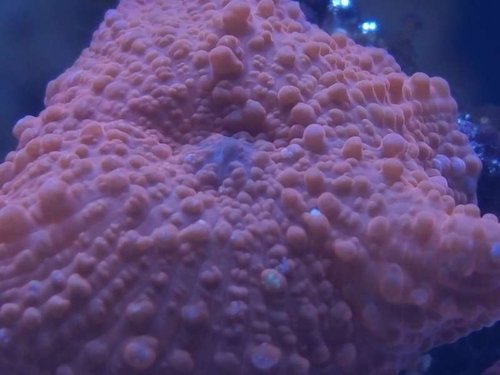 20160330_194201.jpg
