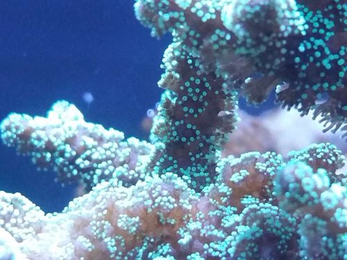 20160330_194842.jpg