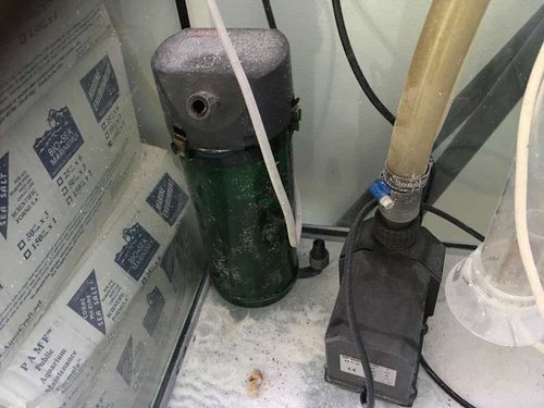 image.jpeg