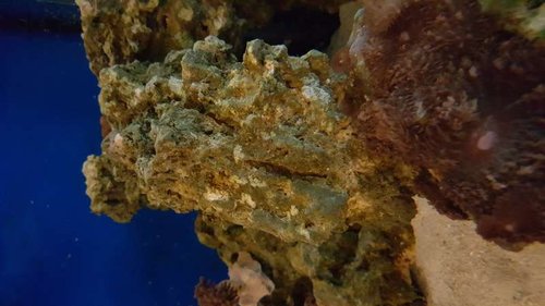 20160410_080012.jpg