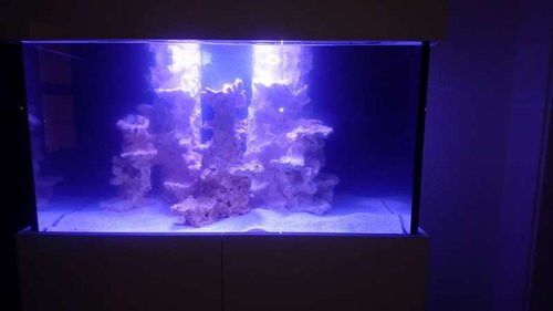 Aquascape.jpg
