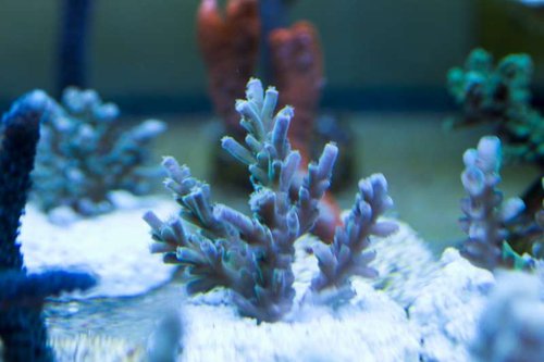 IMG_0004.JPG
