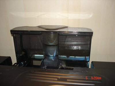DSC01167.JPG