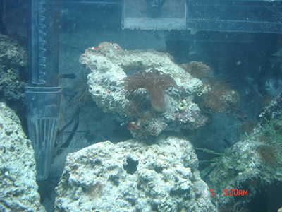 DSC01166.JPG