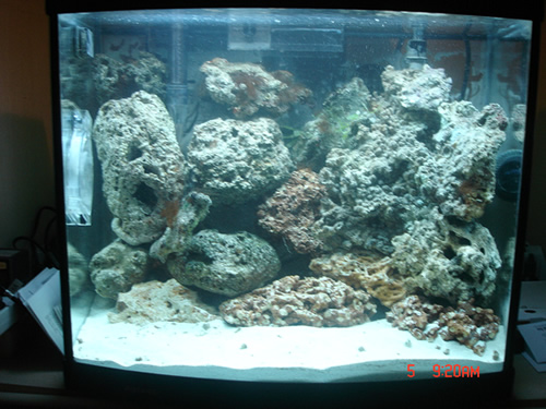 DSC01165.JPG