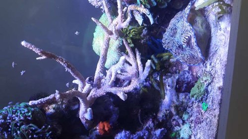 20160609_163811.jpg