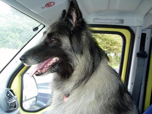 Gita i bilen.JPG