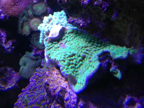 IMG_1016.JPG