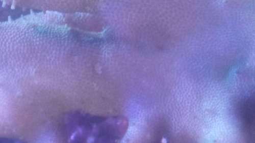 20160622_201726.jpg