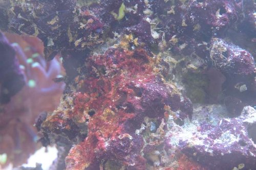 DSC_0639.jpg