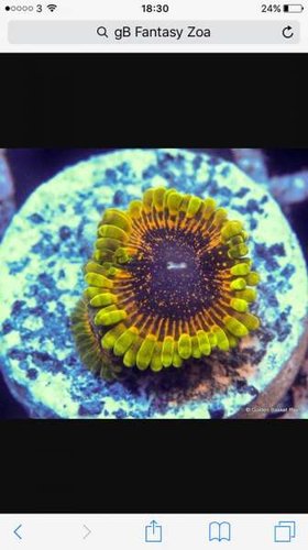 13443998_10153585958620913_2138893237_n.jpg (25.04 KiB) Vist 6373 gange GB Fantasy