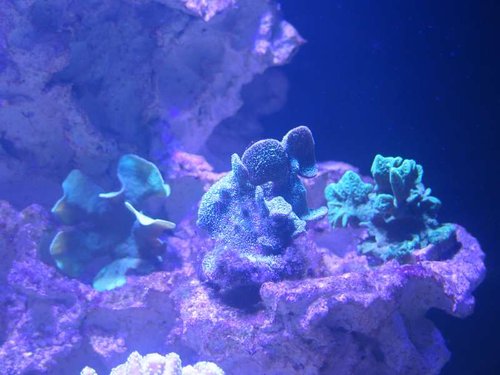 IMG_0042.JPG