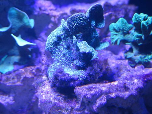 IMG_0052.JPG