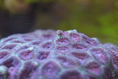 thumb_DSC_0224_1024.jpg