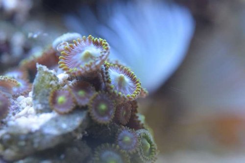 thumb_DSC_0227_1024.jpg