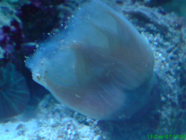 DSC00627 (Small).JPG