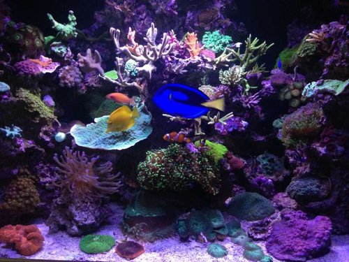 FTS