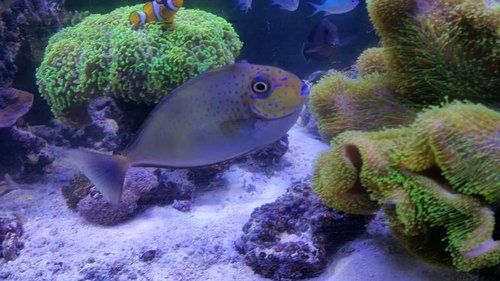 20160805_144140.jpg