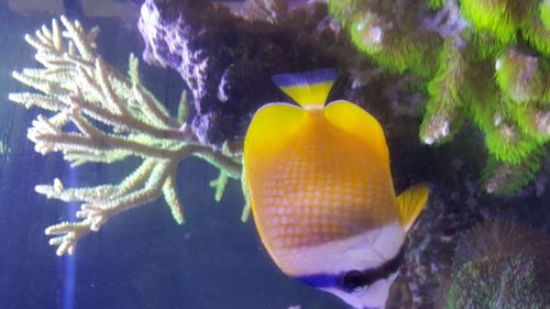 20160805_144124.jpg