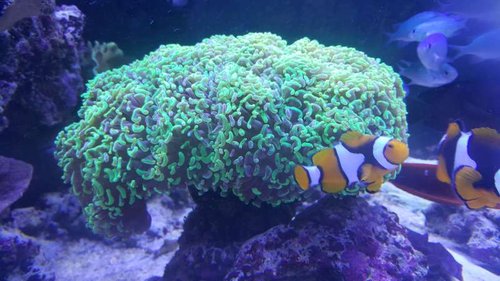 20160805_144058.jpg