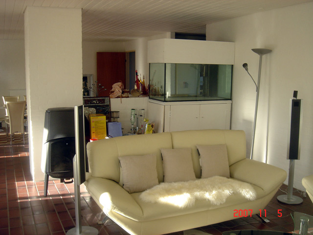 DSC07985.jpg