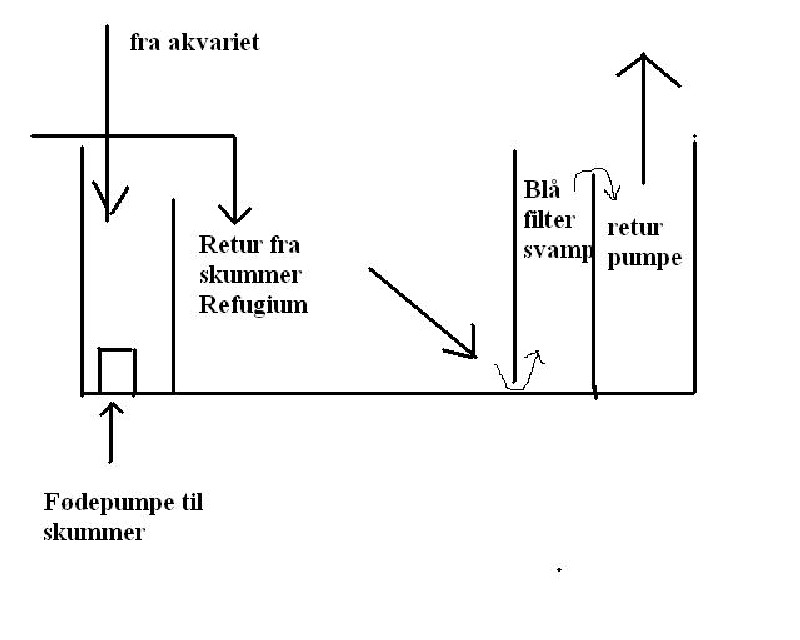 sump.JPG