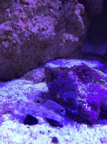 :)