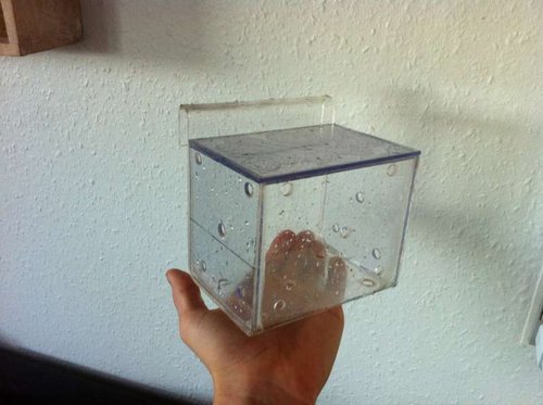 image.jpg