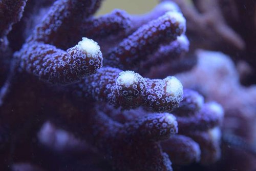 DSC_0584.jpg