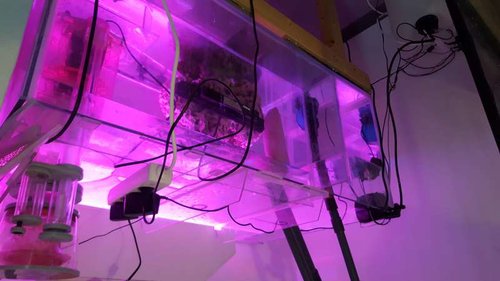 20160812_175130.jpg