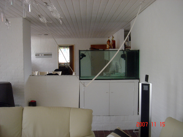DSC07998.jpg
