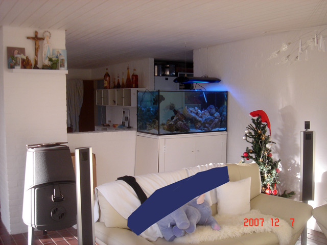 DSC08113.jpg