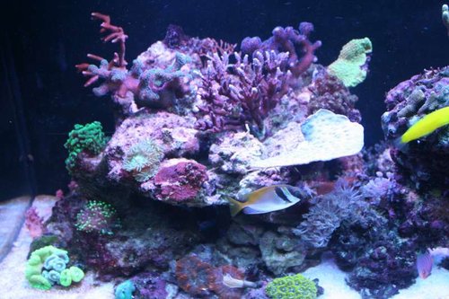 IMG_6436.jpg