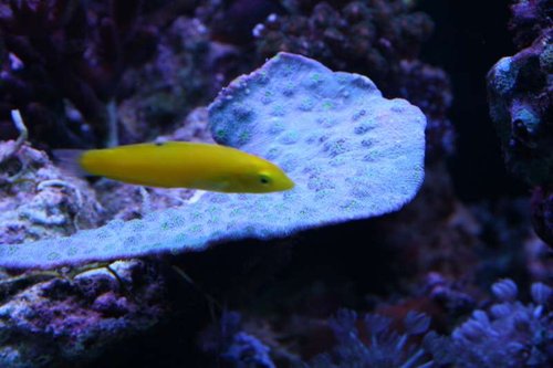 IMG_6446.jpg